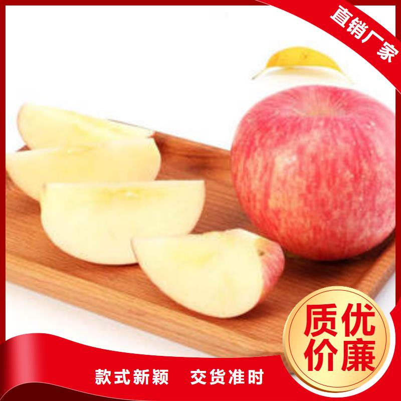 【红富士苹果】苹果种植基地品质做服务