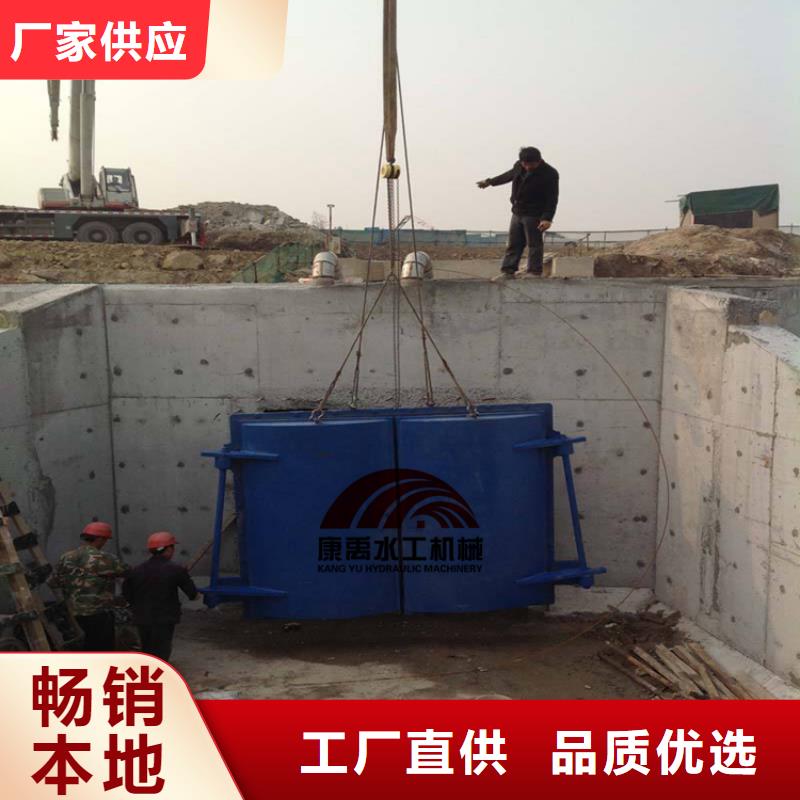 闸门品质保障价格合理-铸铁闸门康禹水工机械厂(上饶市分公司)