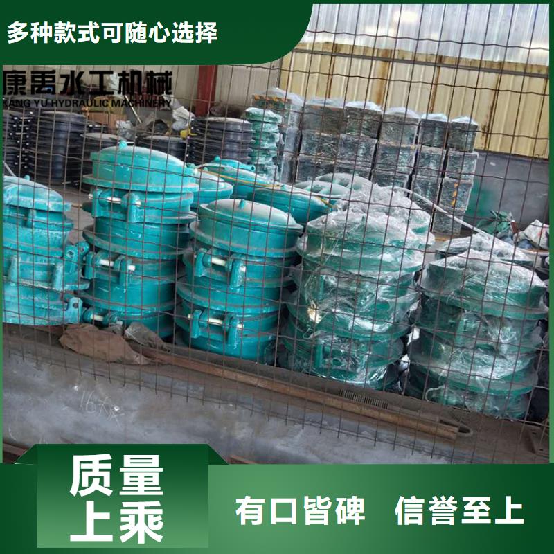 闸门品质保障价格合理-铸铁闸门康禹水工机械厂(上饶市分公司)