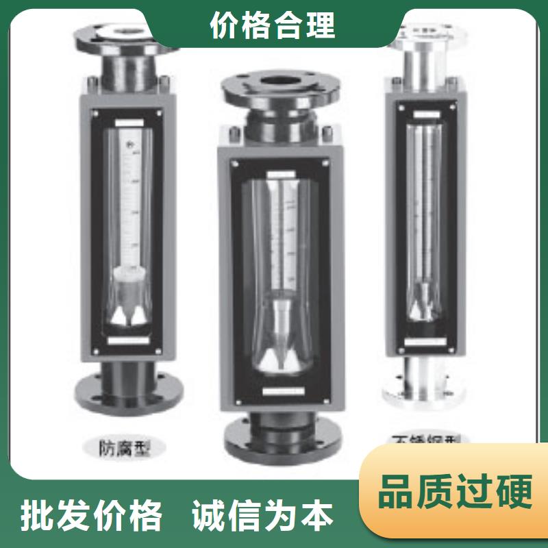 G10,转子流量计实力厂商