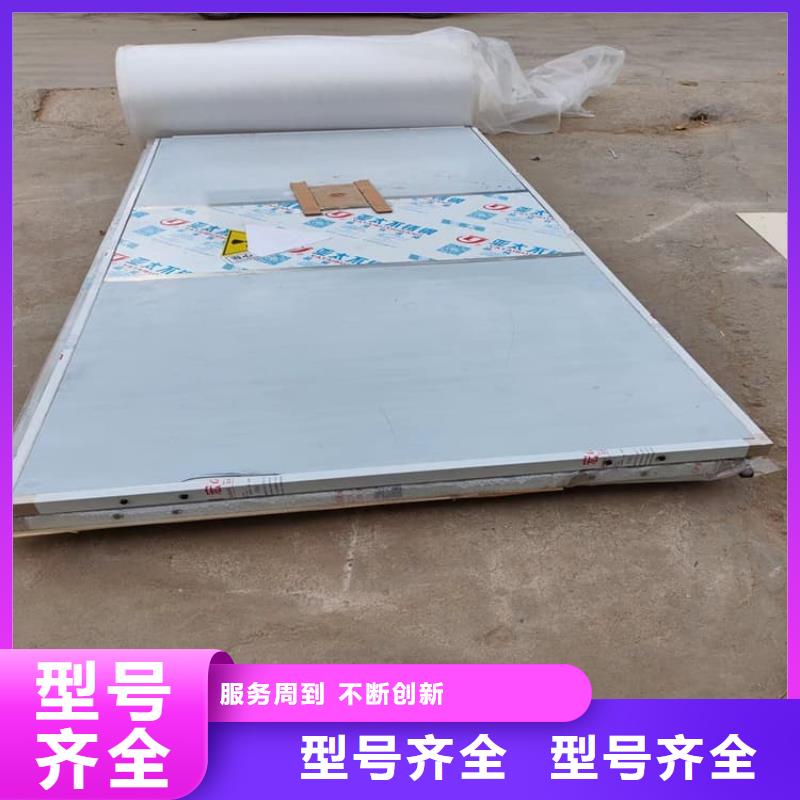 常年供应带脚踏铅门-价格优惠