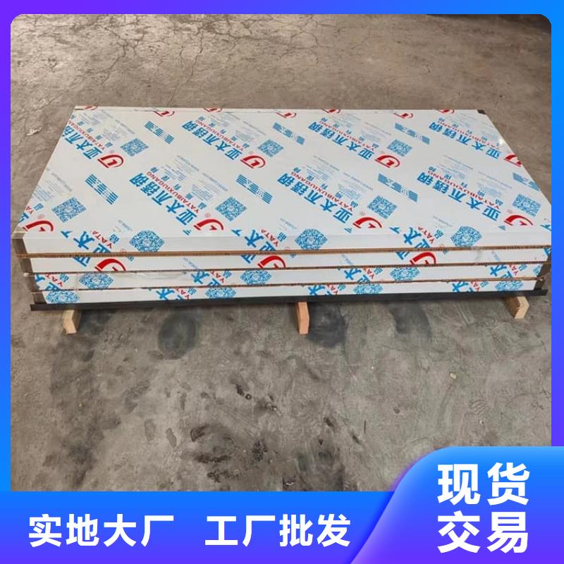 定做防X光射线铅门