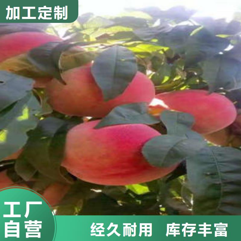 【桃树苗花椒苗来图加工定制】