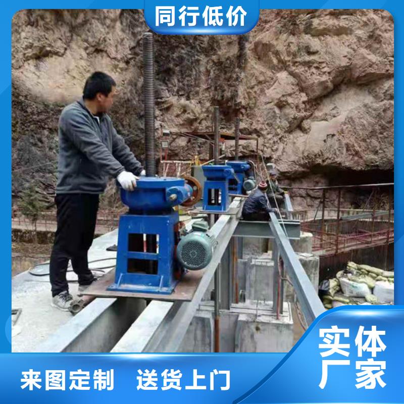 螺杆式启闭机双吊点启闭机制造厂家