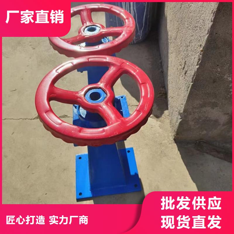 螺杆式启闭机-直联式启闭机种类齐全