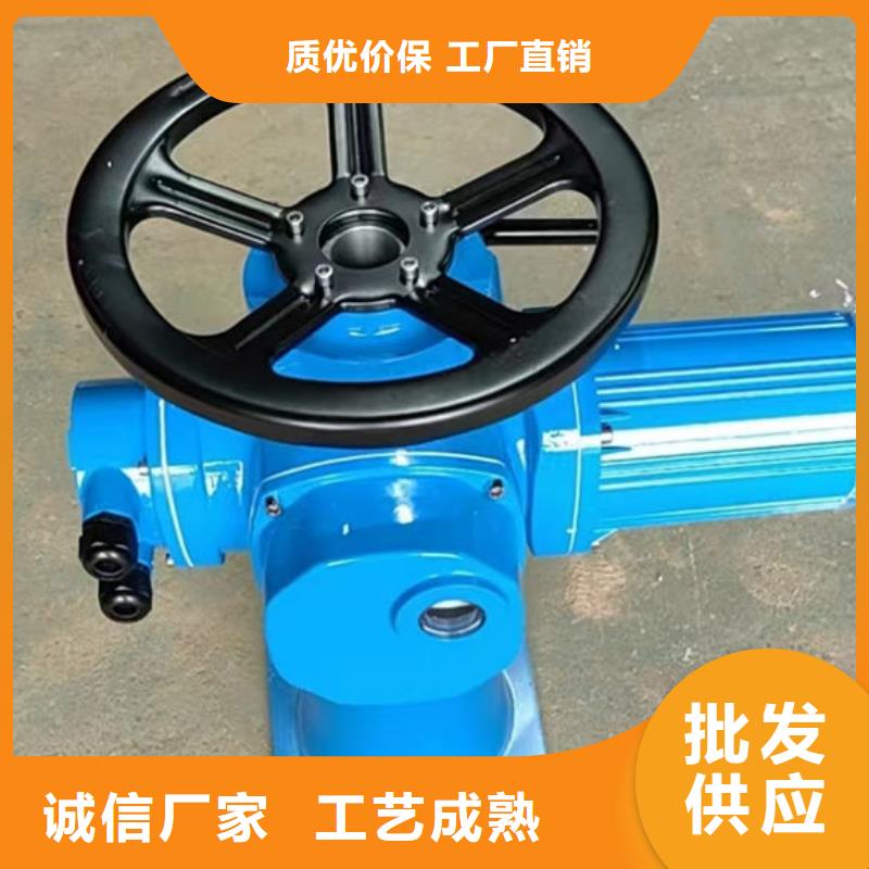 螺杆式启闭机双吊点启闭机主推产品