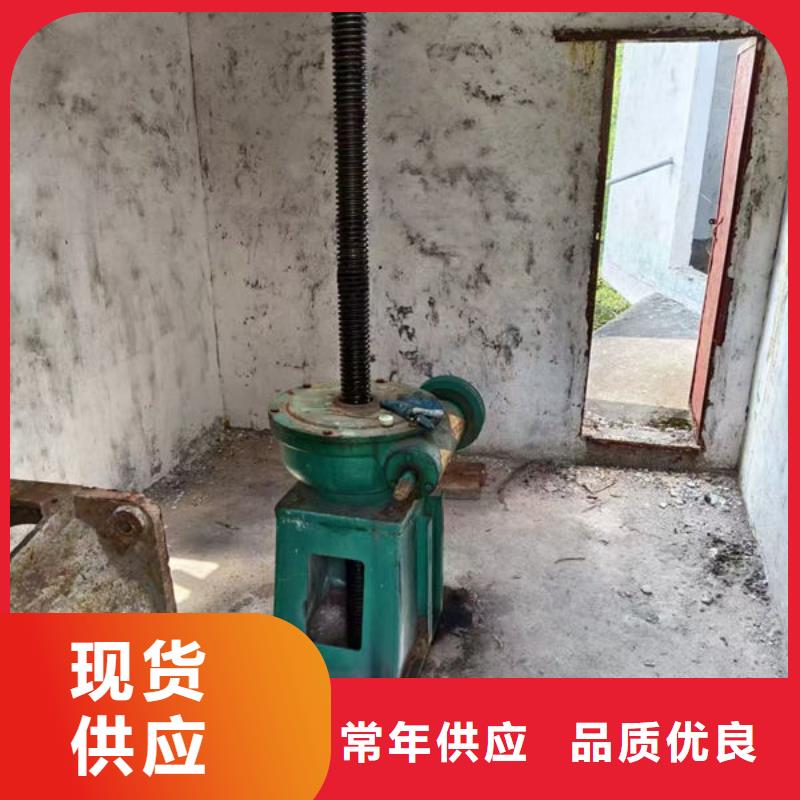 螺杆式启闭机双吊点启闭机主推产品