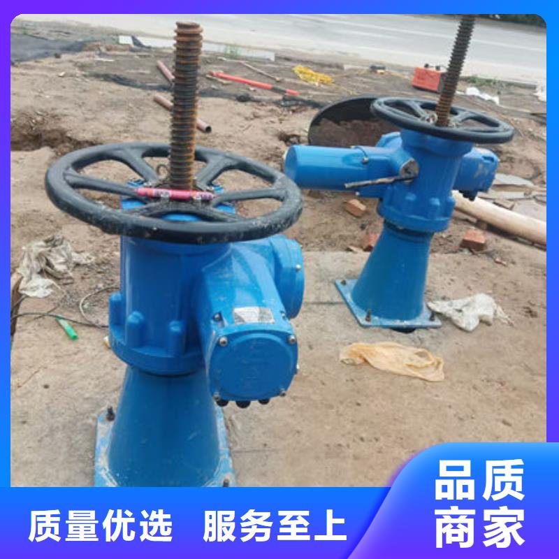 螺杆式启闭机螺杆启闭机诚信经营现货现发