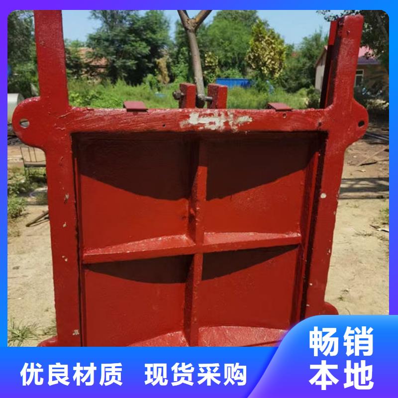 铸铁闸门_河道铸铁闸门供应商