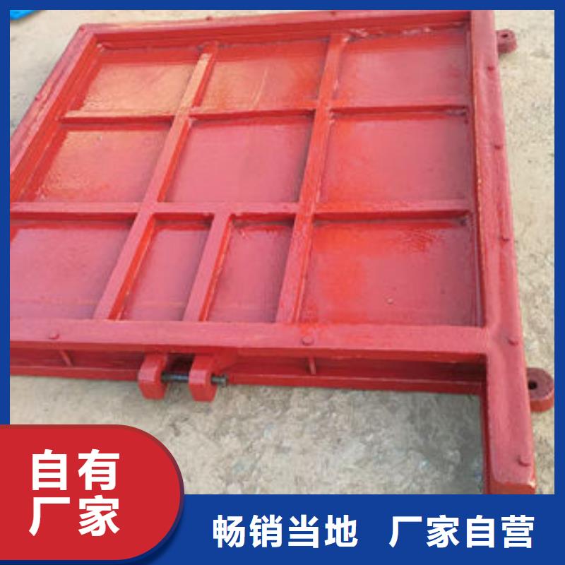 铸铁闸门-水库铸铁闸门多年行业经验