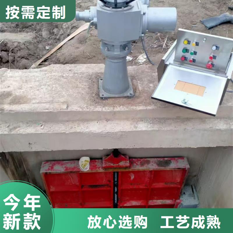 铸铁闸门-水库铸铁闸门多年行业经验