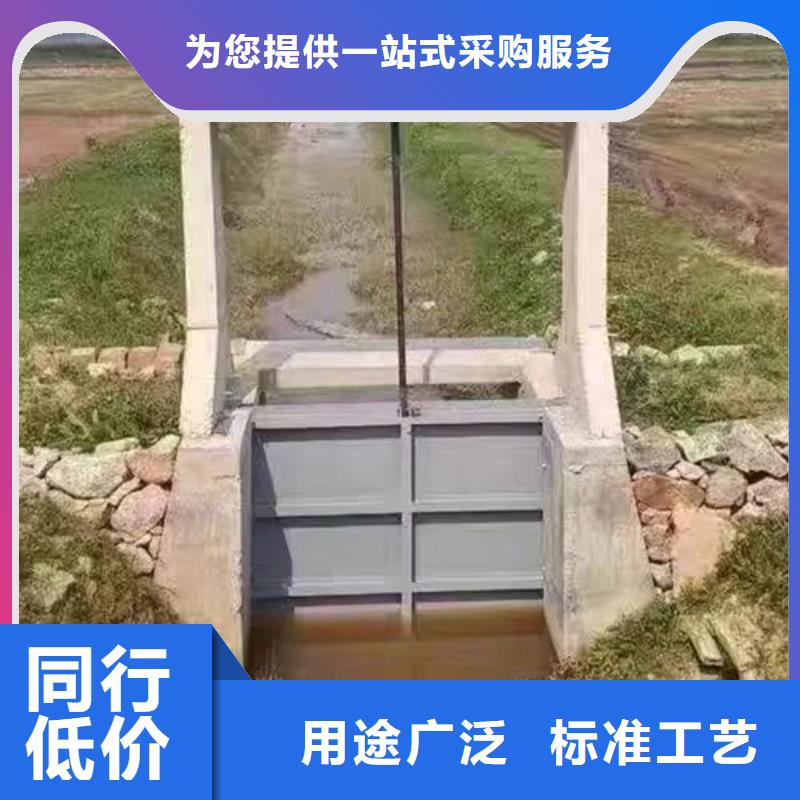 铸铁闸门双向止水闸门源头厂家量大价优