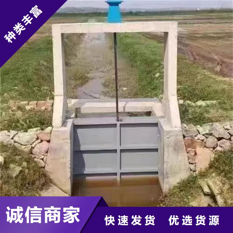 铸铁闸门_河道铸铁闸门供应商