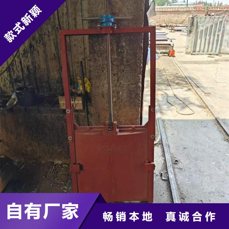 铸铁闸门铸铁拍门多年实力厂家