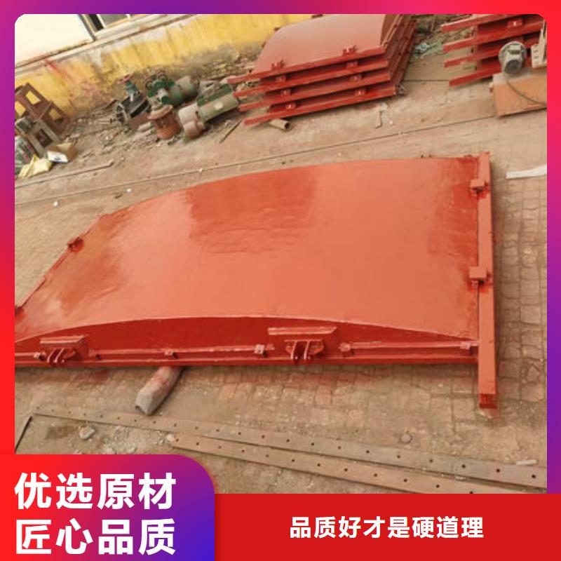 铸铁闸门-镶铜铸铁闸门品质信得过