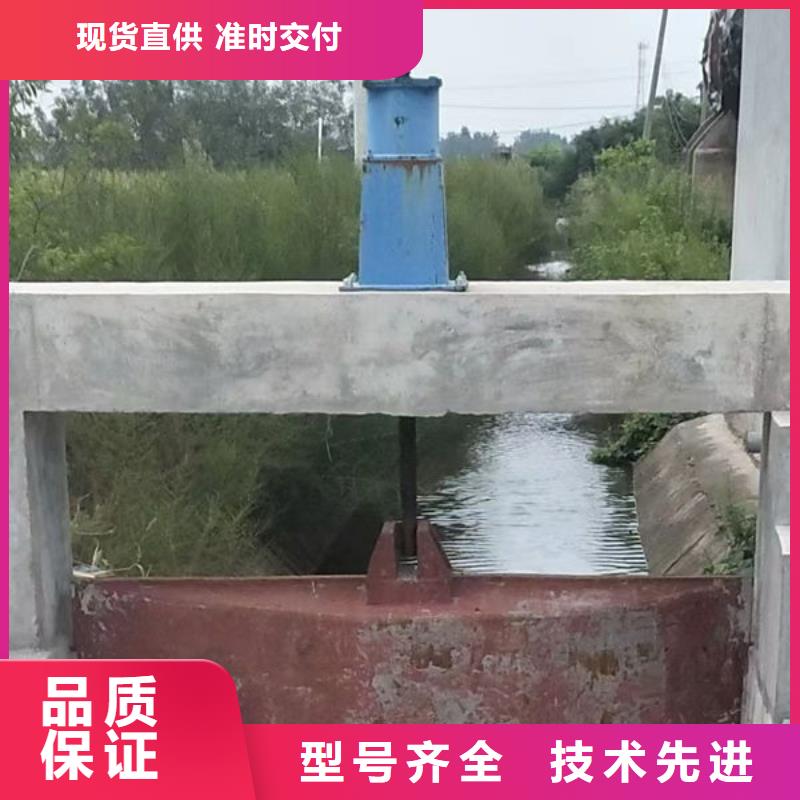 铸铁闸门水电站铸铁闸门精益求精