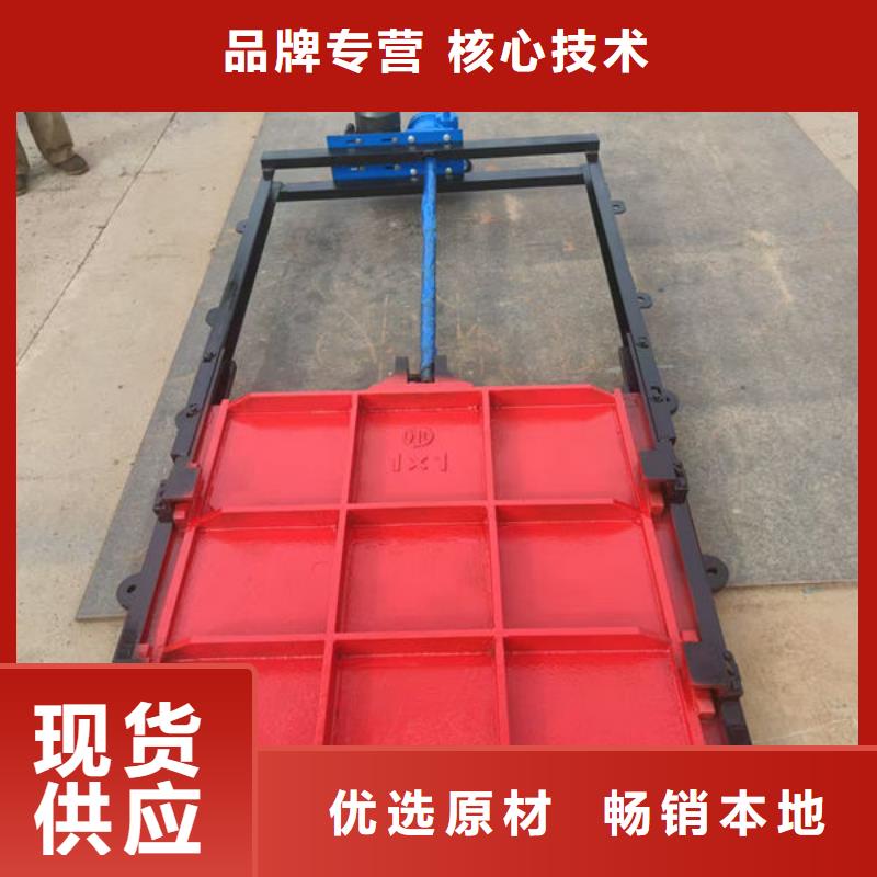 铸铁闸门双向止水闸门常年出售