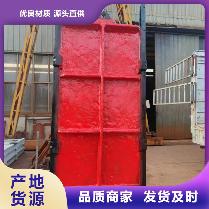 铸铁闸门-镶铜铸铁闸门品质信得过
