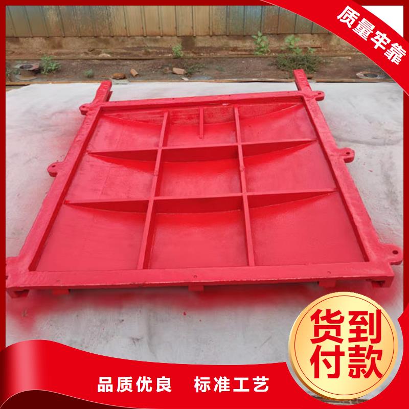 铸铁闸门-球墨铸铁闸门品质商家