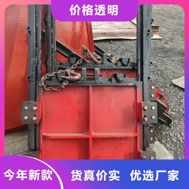 铸铁闸门铸铁拍门多年实力厂家
