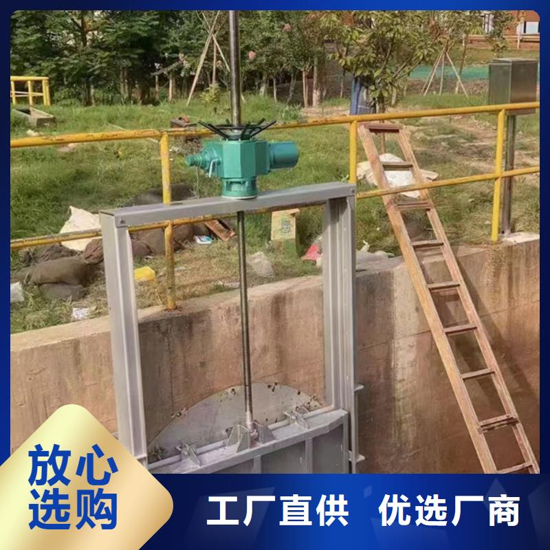 铸铁闸门,附壁式铸铁闸门价格低