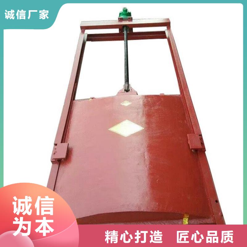 铸铁闸门-手提铸铁闸门质量优价格低