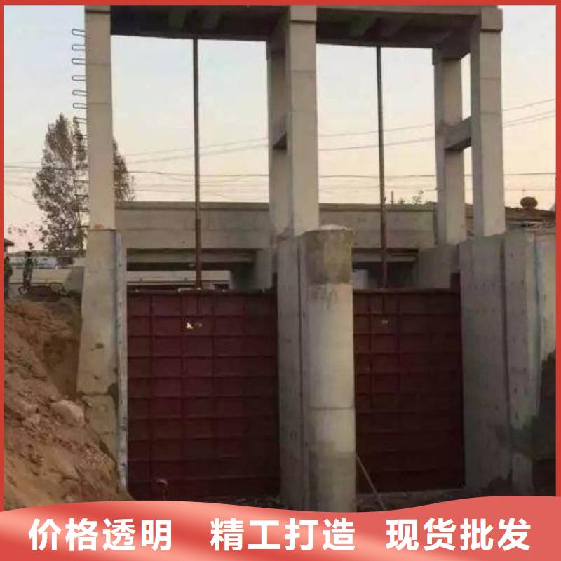 铸铁闸门-水库铸铁闸门多年行业经验