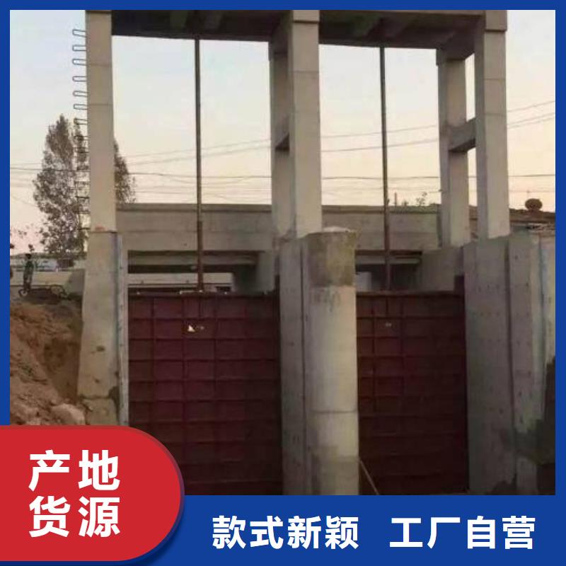 铸铁闸门,河道铸铁闸门货源直供