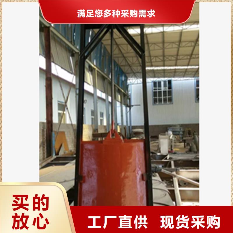 铸铁闸门双向止水闸门源头厂家量大价优