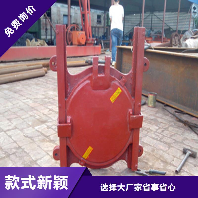 铸铁闸门,附壁式铸铁闸门价格低