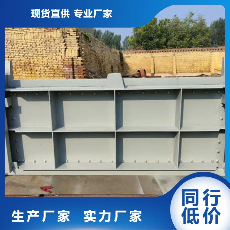 钢坝闸门-泵站上卧式闸门一站式采购商家