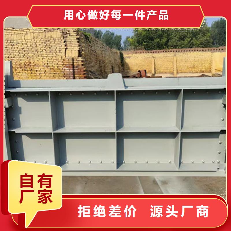 钢坝闸门叠梁门现货