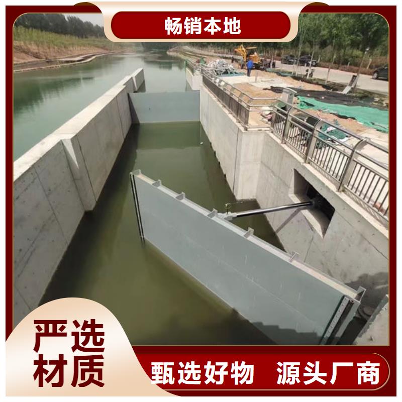 钢坝闸门叠梁门专业生产品质保证