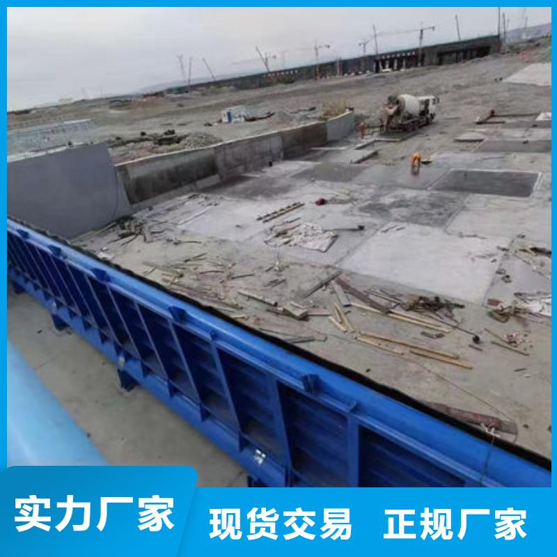 钢坝闸门翻板闸门库存丰富