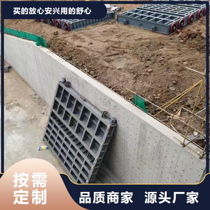 钢坝闸门自动抓梁厂家直销售后完善