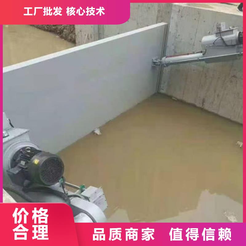 钢坝闸门合页钢坝品质值得信赖