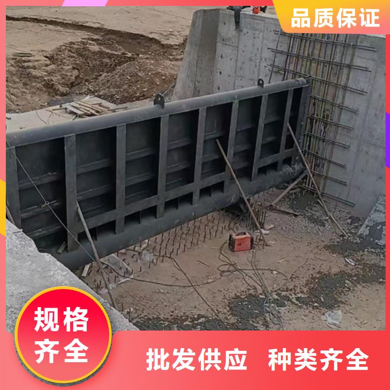 钢坝闸门-叠梁门买的放心安兴用的舒心