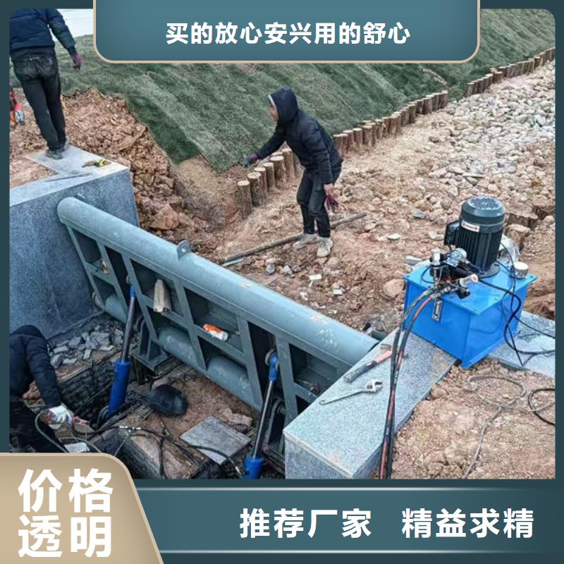 钢坝闸门叠梁门现货