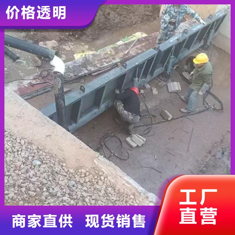 钢坝闸门叠梁门现货