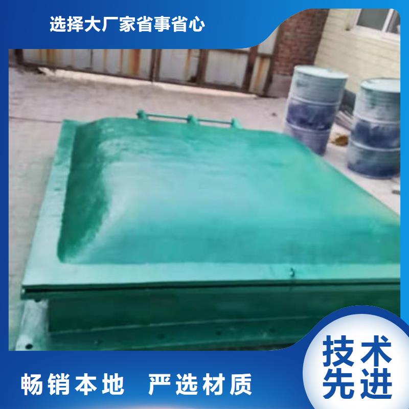 拍门复合材料拍门款式多样