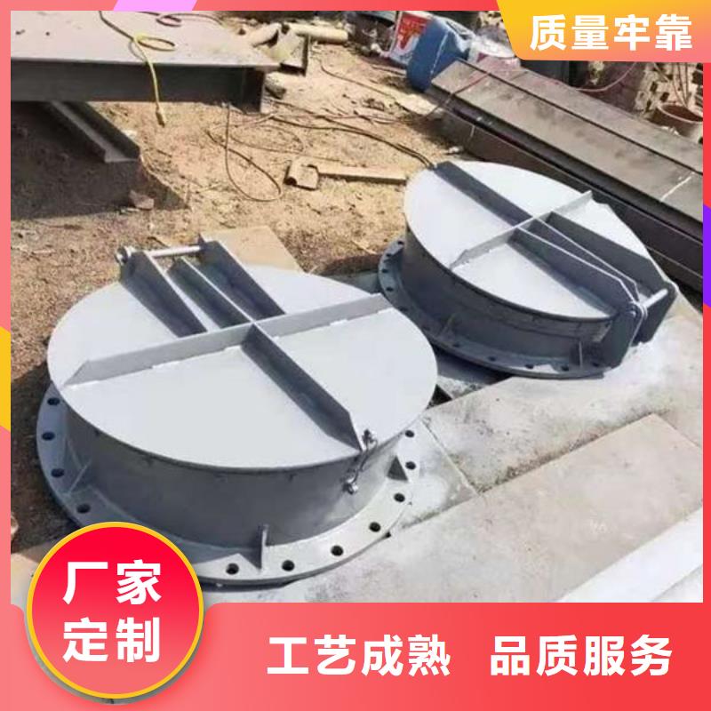 拍门球墨铸铁拍门实力派厂家