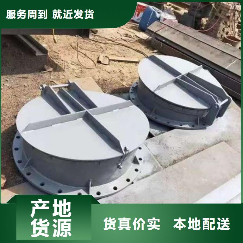 拍门铸铁拍门厂家采购