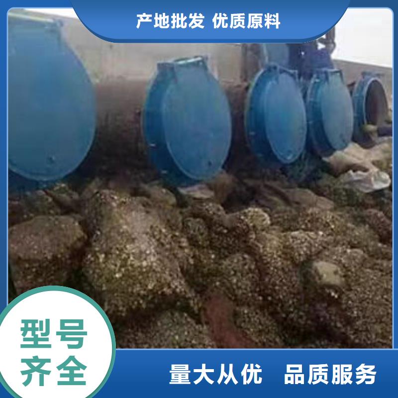 拍门钢拍门设备齐全支持定制