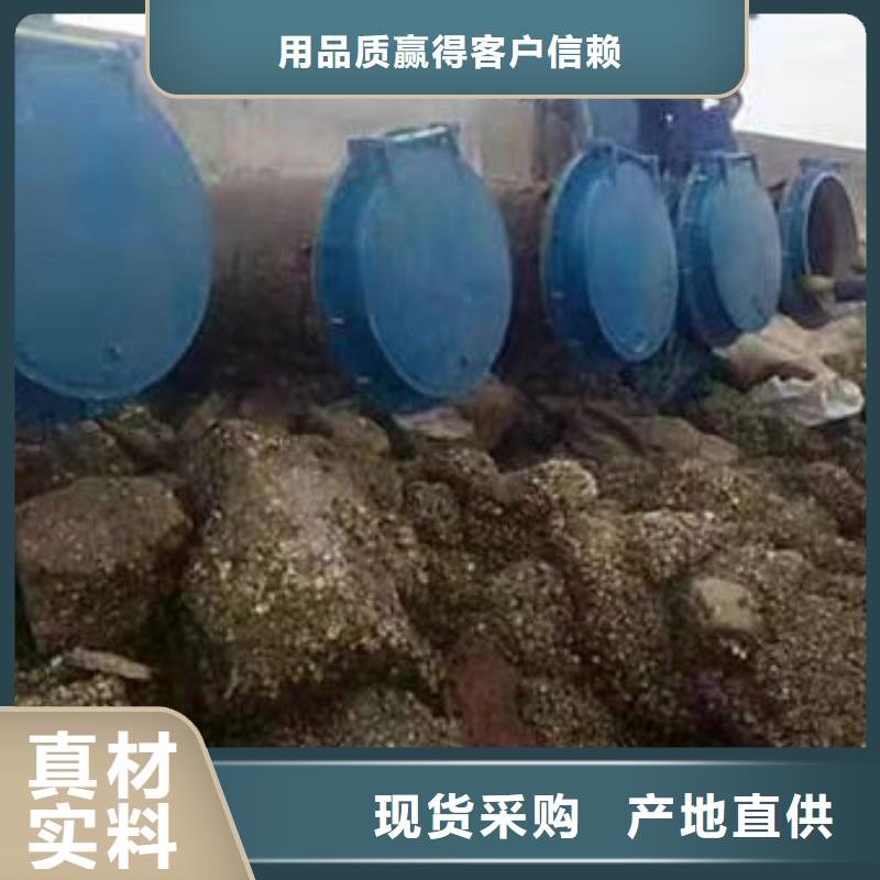 拍门_铸铁拍门生产型