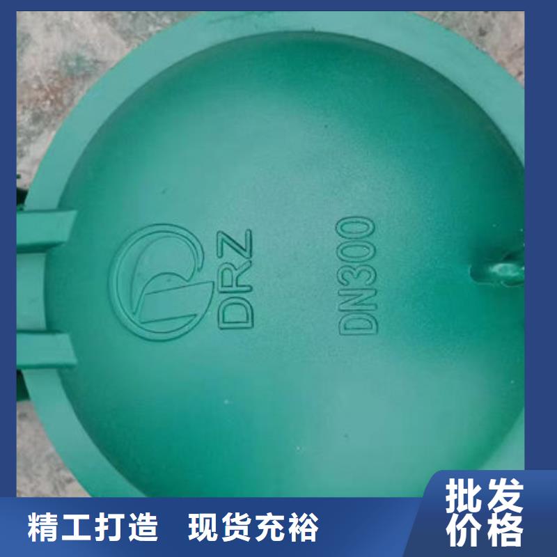 拍门防倒灌拍门准时交付