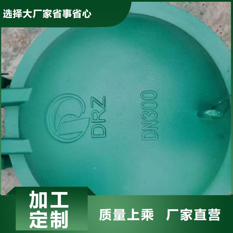 拍门球墨铸铁拍门长期供应