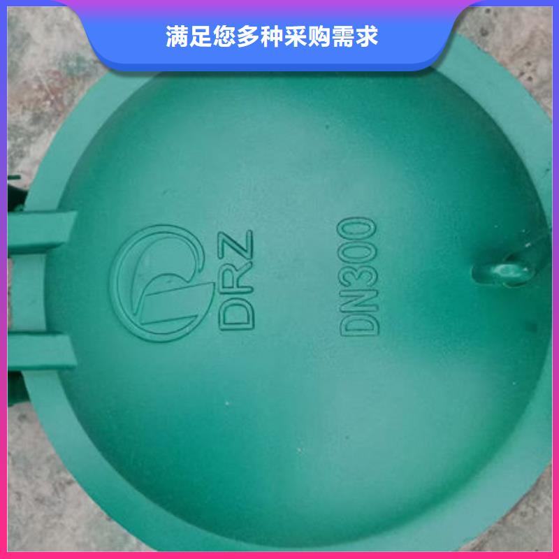 拍门_不锈钢拍门资质认证