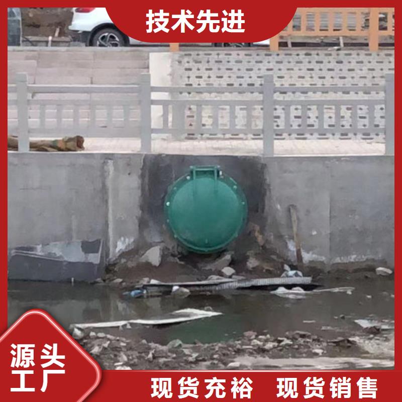 拍门_防倒灌拍门好品质选我们