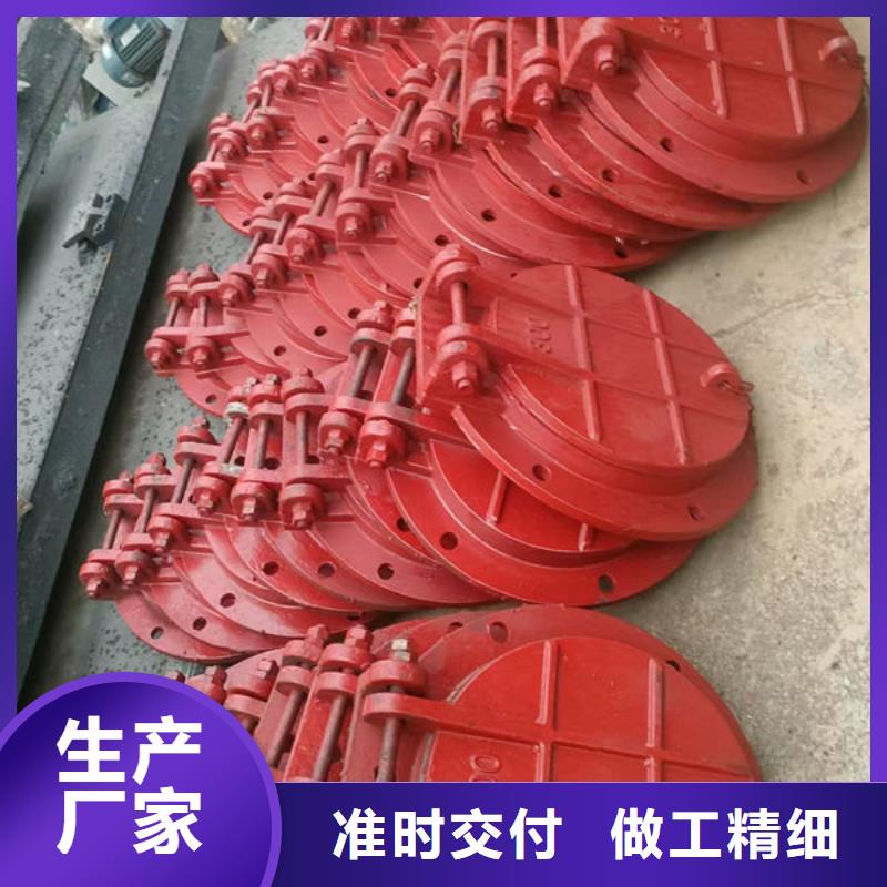 拍门钢拍门高性价比