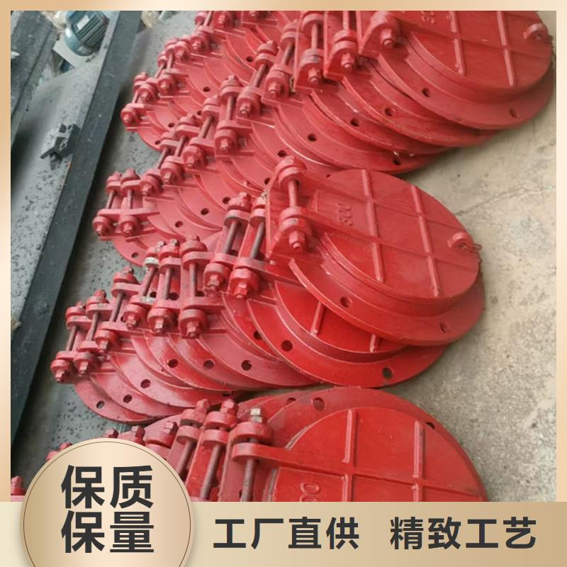 拍门防倒灌拍门准时交付